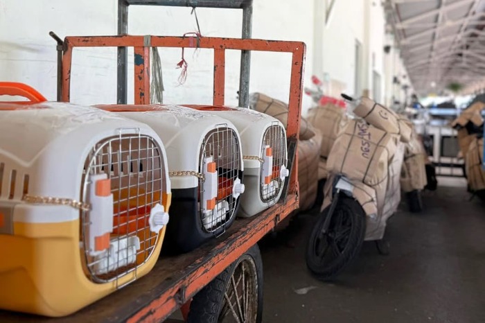 KAI Logistik Catat Pengiriman Lebih Dari 116 Ribu Hewan Peliharaan