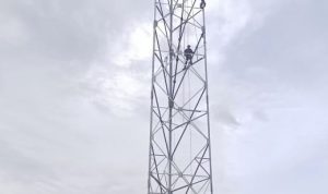 IMG-20251106-WA0044_2