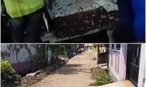 20261014_192403-COLLAGE